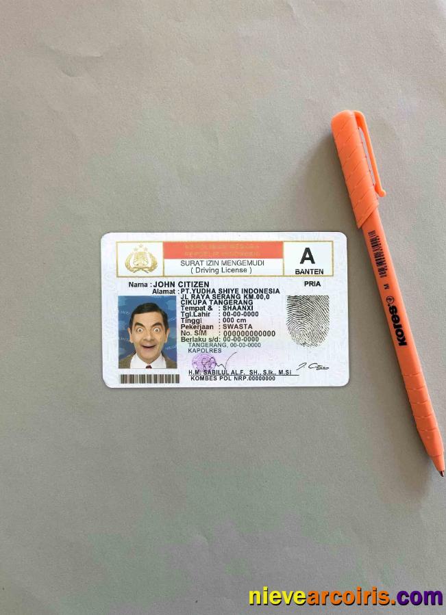 Indonesia driving license photolook